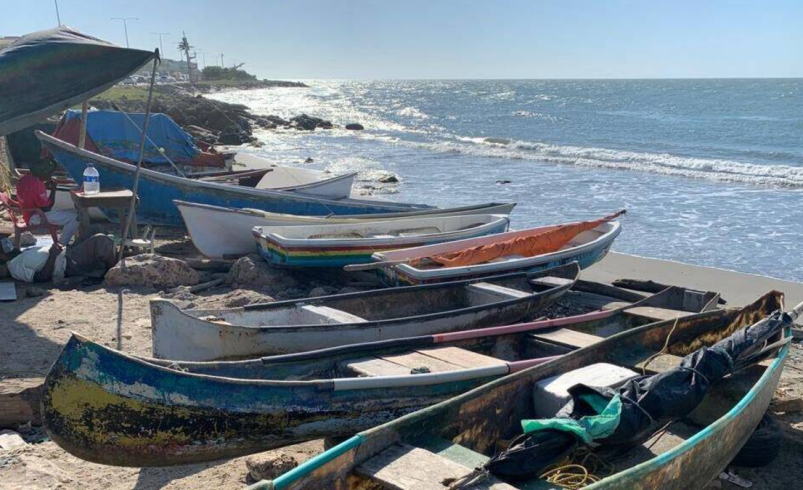 Dos millones de alevines se impulsan a aumentar la mitad y responder a la crisis que viven los pescadores para contaminar

 – Ojo critico