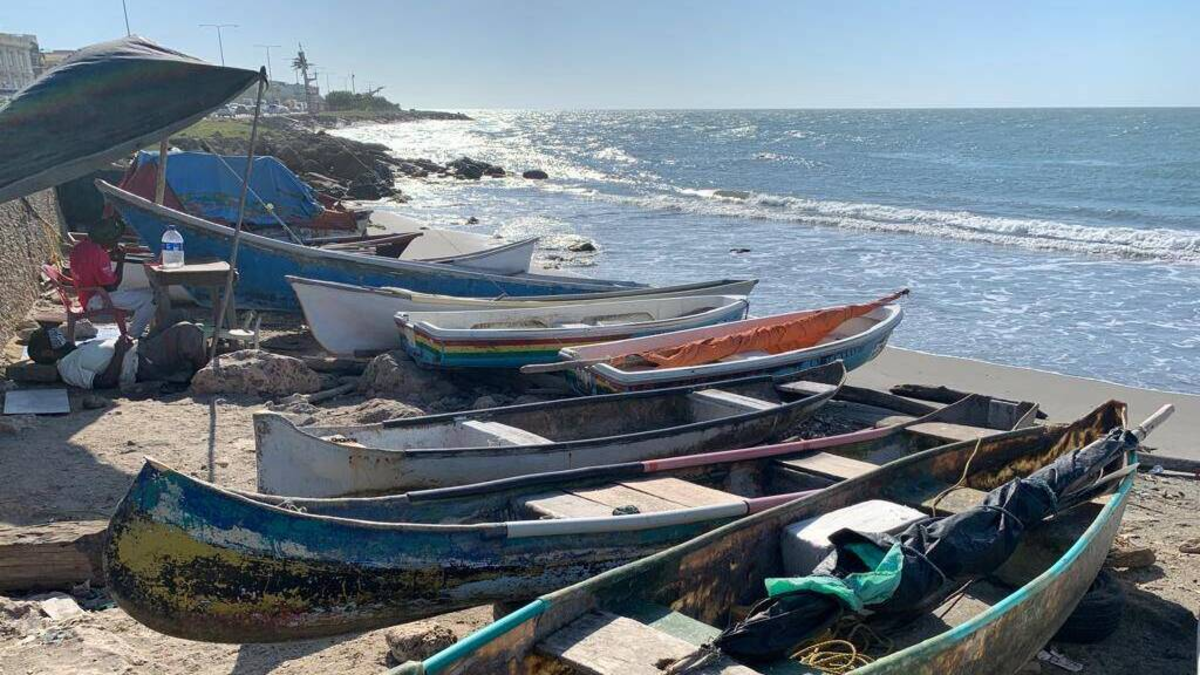 Dos millones de alevines se impulsan a aumentar la mitad y responder a la crisis que viven los pescadores para contaminar
 – Ojo critico