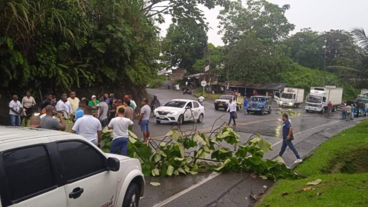 ¿Cómo entender el fenómeno de los bloqueos en la carretera a Buenaventura y Panamericana? Experto analizó un panorama crítico del suroeste del país
 – Ojo critico