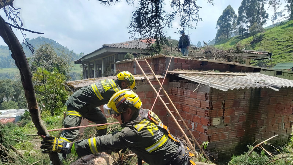 Piden un cuidado especial con menores
 – Ojo critico