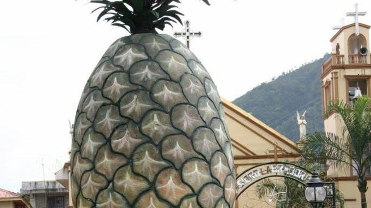 LeBrija, la capital de Piñera de Colombia, revelará el secreto para transformar su fruta insignia en su feria nacional

 – Ojo critico