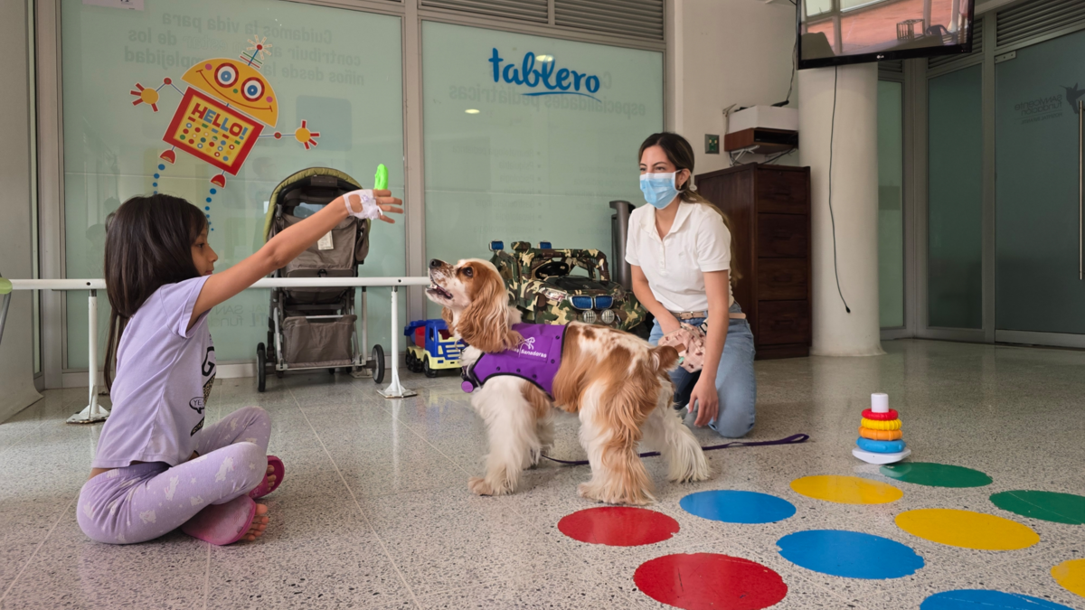 Medellín cuenta con el primer programa de rehabilitación canina para pacientes quemados

 – Ojo critico