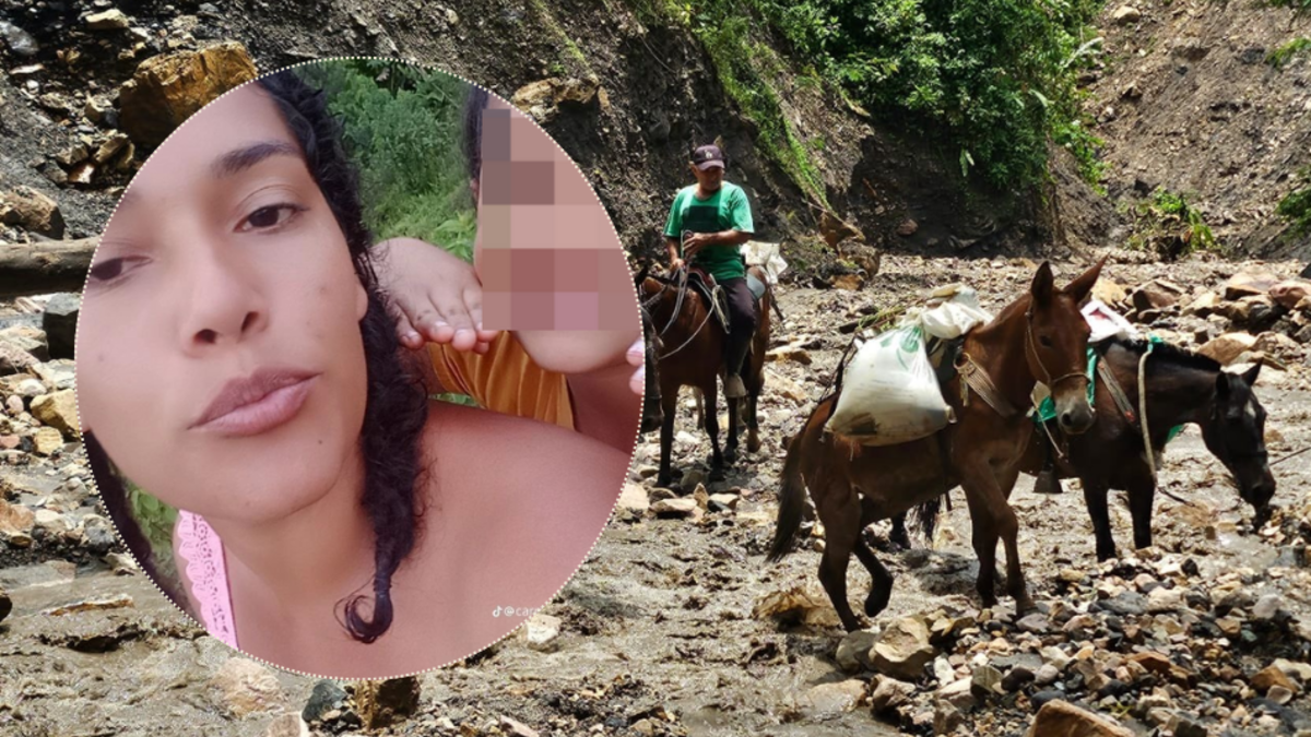 Esta es Carmen Díaz, mujer que fue secuestrada en una quebrada en Páez (Boyacá) mientras cruzaba a caballo para recoger a su esposo e hijos: así va la búsqueda
 – Ojo critico
