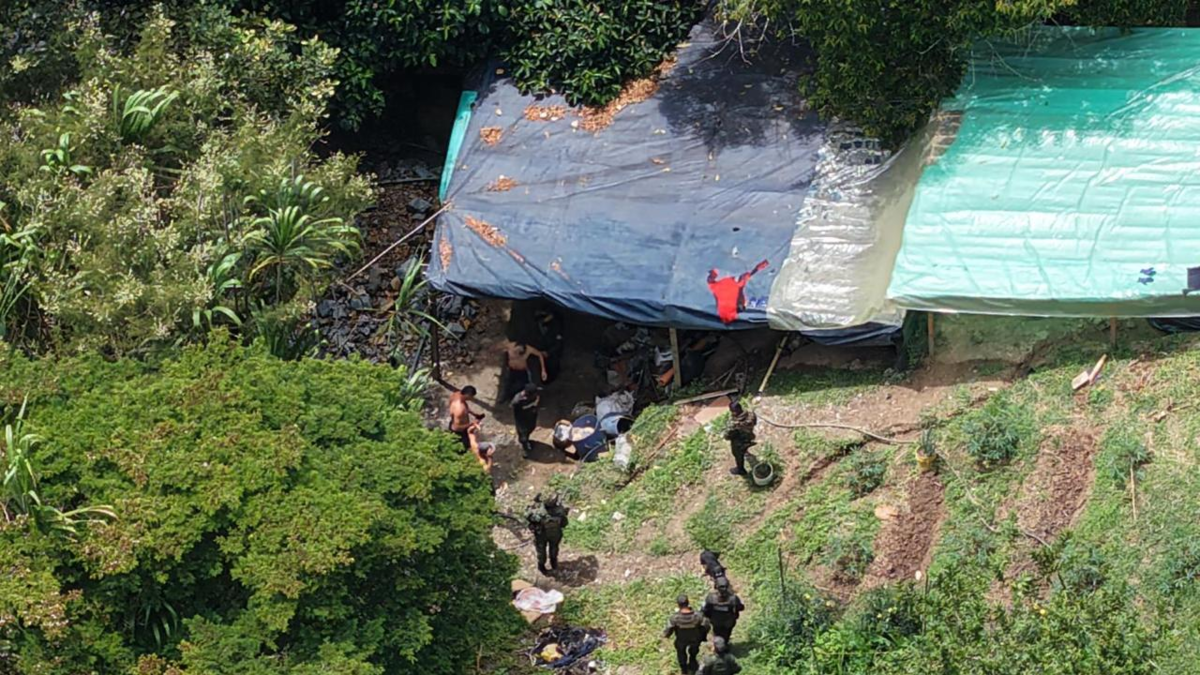 Fue una operación de captura y protección ambiental.
 – Ojo critico