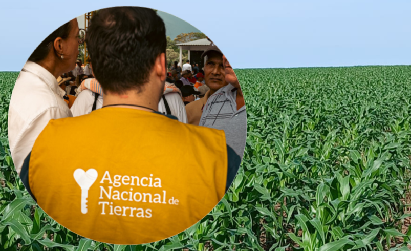 ¿Qué está pasando en Puerto Gaitán? Dos versiones en el centro de la disputa entre ANT y menonitas por las tierras de Altillanura; condenar la supuesta expropiación

 – Ojo critico