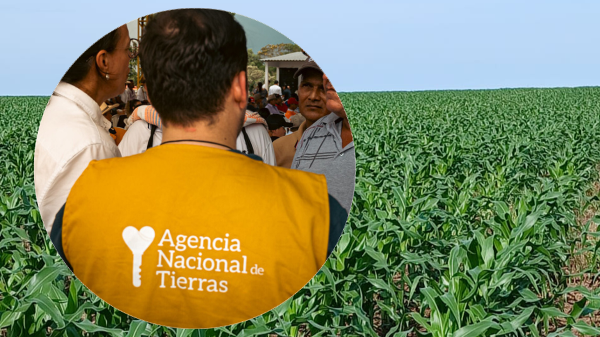 ¿Qué está pasando en Puerto Gaitán? Dos versiones en el centro de la disputa entre ANT y menonitas por las tierras de Altillanura; condenar la supuesta expropiación
 – Ojo critico