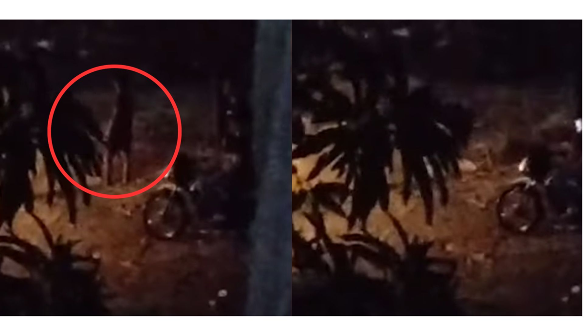 Autoridades investigan la desaparición de un joven que se lanzó al arroyo El Salao en Soledad: aún se desconoce su identidad
 – Ojo critico