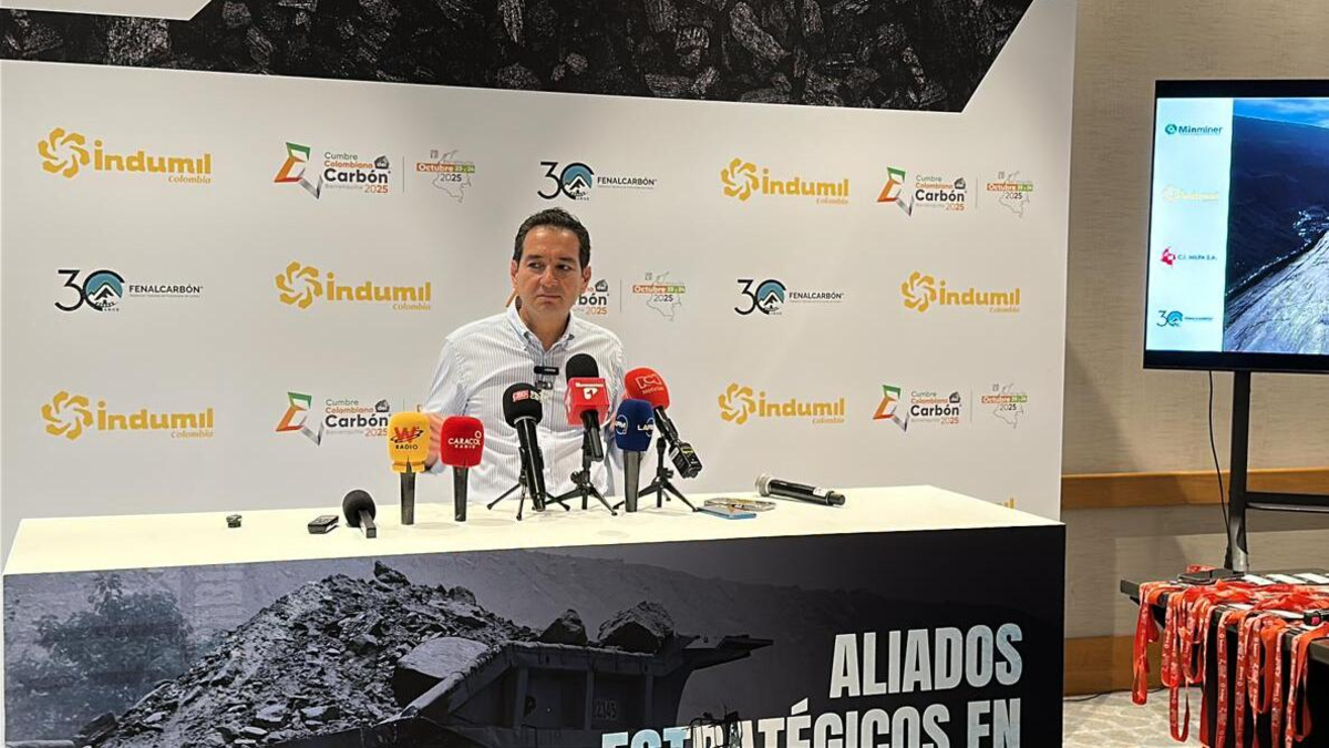 Las exportaciones de carbón han caído un 34%, las pérdidas ascienden a millones de dólares y el sector está haciendo un fuerte llamamiento al gobierno. ¿Qué están pidiendo?
 – Ojo critico