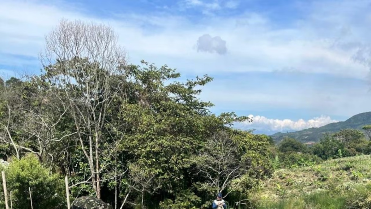 Ejército desmantela red de minería ilegal responsable de financiar a disidencias de las FARC en Santander de Quilichao
 – Ojo critico