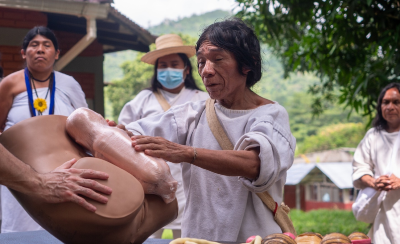 Mamos y Universidad del Magdalena unidos por la salud intercultural
 – Ojo critico