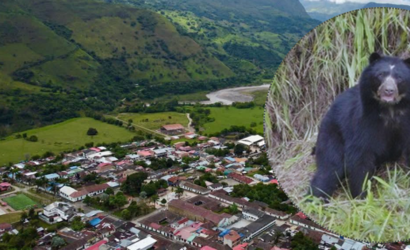 ahora los campesinos los protegen
 – Ojo critico