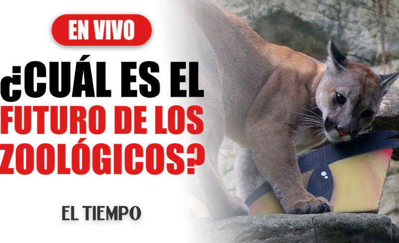 ¿Qué les depara el futuro a los zoológicos?
 – Ojo critico