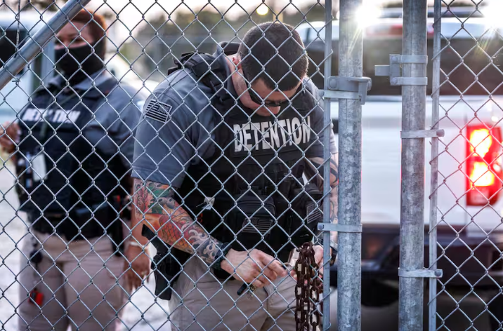 Condenan el maltrato y negligencia médica a mujeres embarazadas detenidas por ICE en Estados Unidos.
 – Ojo critico