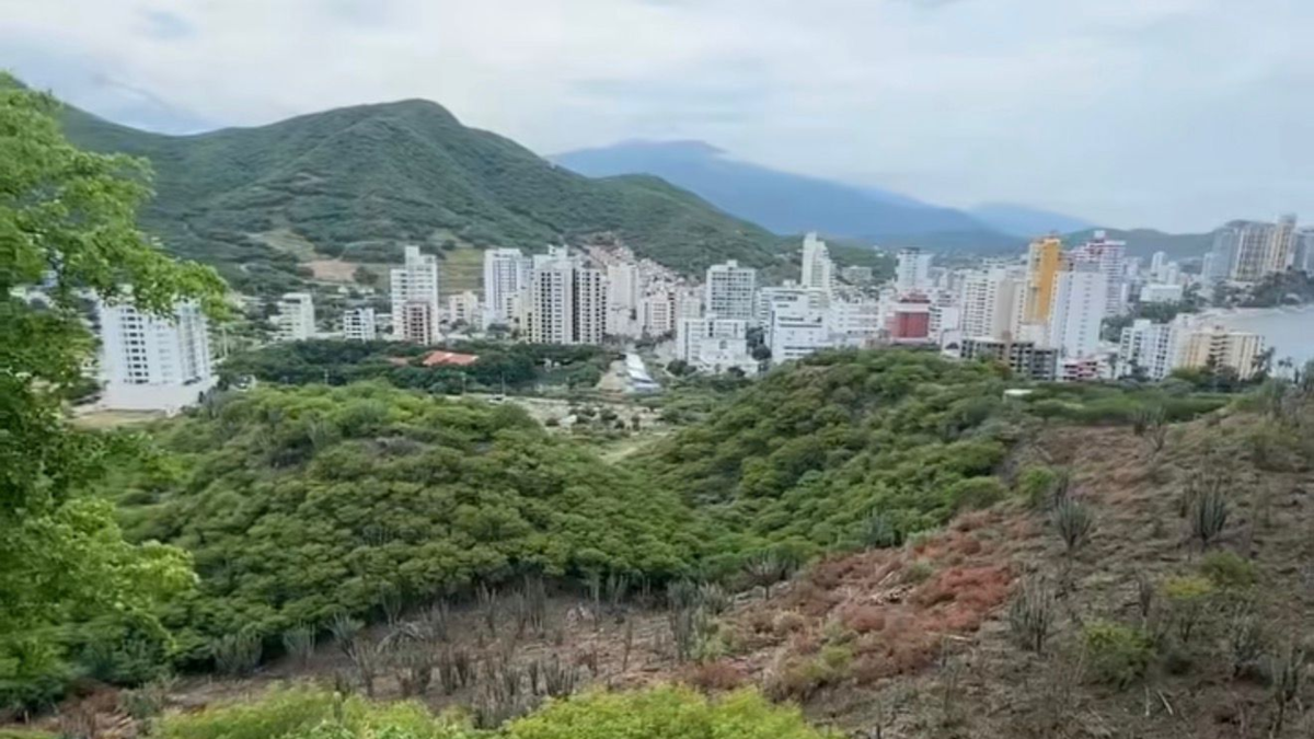 Colina que los empresarios quieren hacer una empresa en Santa Marta
 – Ojo critico