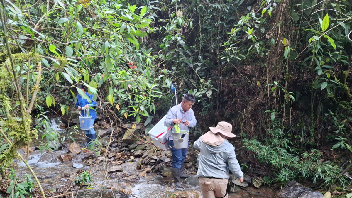 El seguimiento se realiza en 20 cuencas fluviales.
 – Ojo critico