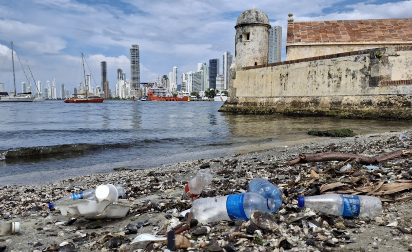 Estudio revela grave impacto en playas, manglares y fauna marina

 – Ojo critico