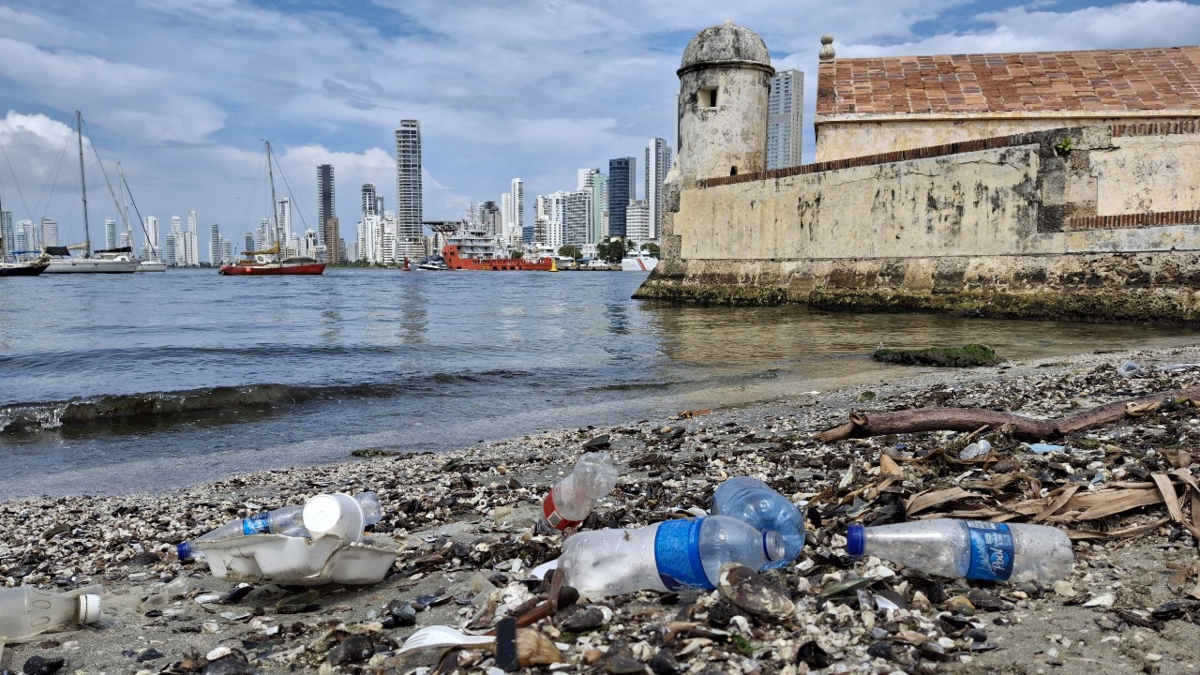 Estudio revela grave impacto en playas, manglares y fauna marina
 – Ojo critico