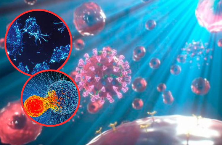 La luz LED elimina el 99% de las células cancerosas de piel en un nuevo tratamiento experimental

 – Ojo critico