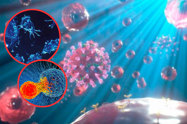 La luz LED elimina el 99% de las células cancerosas de piel en un nuevo tratamiento experimental
 – Ojo critico