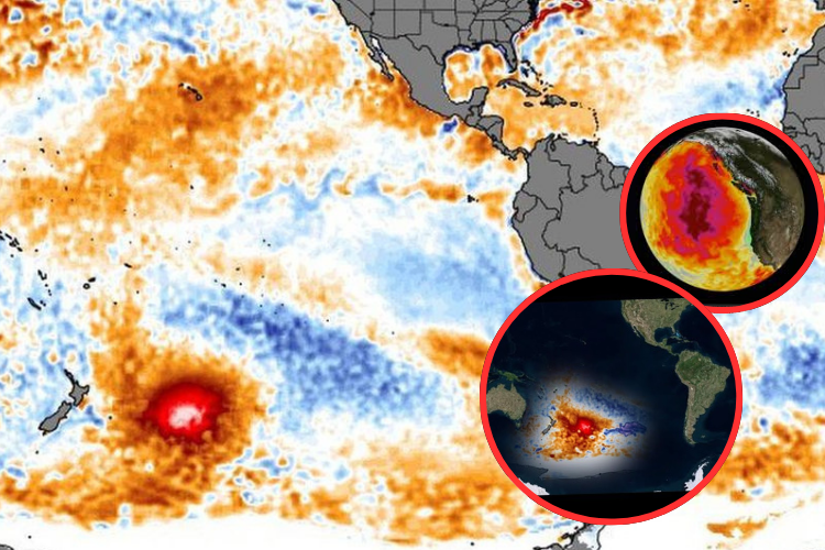 Misterioso punto caliente del Pacífico Norte alarma a los científicos por una temperatura récord

 – Ojo critico