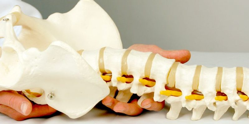 Día Mundial de la Columna Vertebral: cuidando las bases de nuestro bienestar
 – Ojo critico