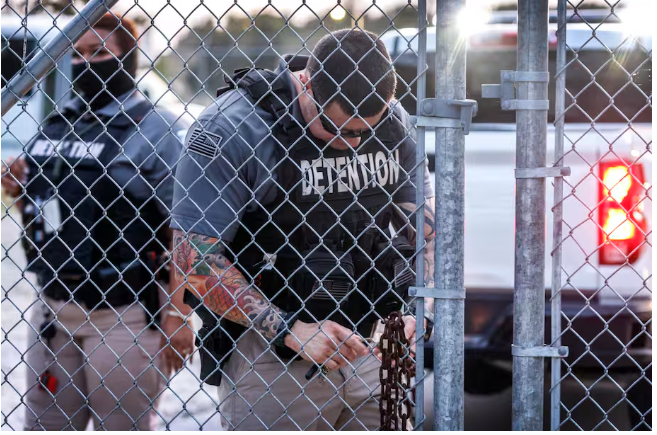 Denuncian que mujeres embarazadas enfrentan abuso y negligencia en centros de ICE
 – Ojo critico