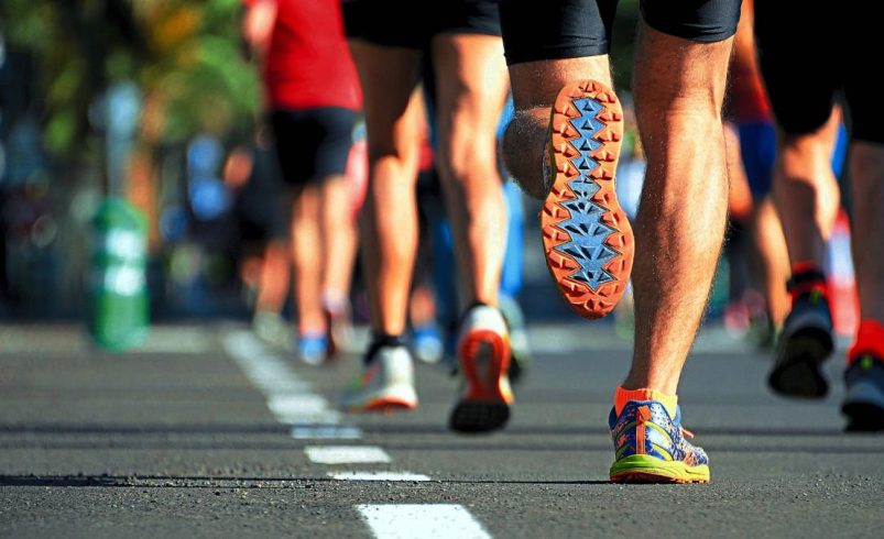 consultar horarios y rutas incluidas

 – Ojo critico