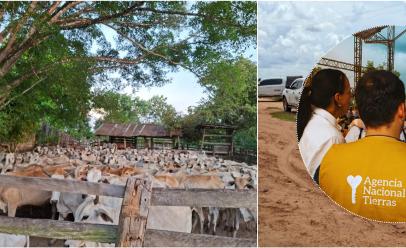 Bunshiro Takemoto, un agricultor japonés que sobrevivió a dos secuestros y fundó una escuela de aprendizaje en Meta, acusa a ANT de despojarlo de sus tierras

 – Ojo critico