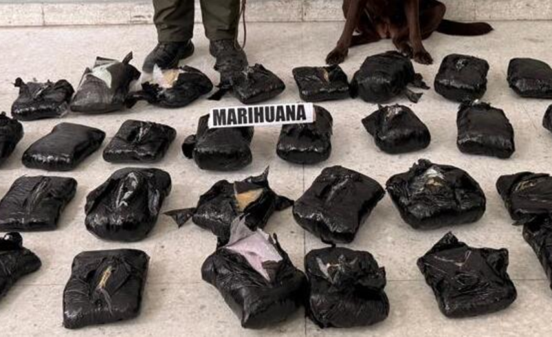 Incautaron 21.000 gramos de marihuana disfrazados de una empresa de reparto: un perro antidrogas detectó sustancias ilegales

 – Ojo critico