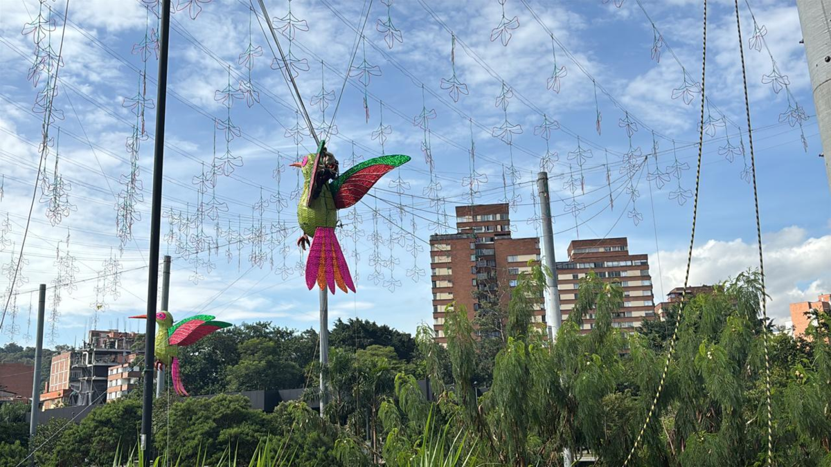 conocer la programación cultural de la ciudad

 – Ojo critico