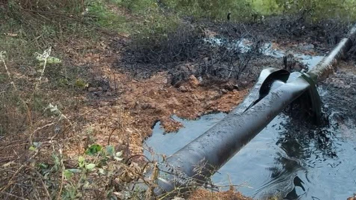 Nuevo ataque al oleoducto Caño Limón-Coveñas en Arauquita obliga a Ecopetrol a activar su plan de contingencia

 – Ojo critico