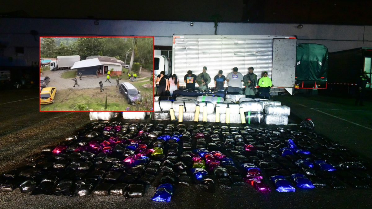 Seis toneladas de marihuana fueron incautadas en un punto de acopio de Girardota, que abastecía las “plazas” del distrito de Antioquia en Medellín

 – Ojo critico