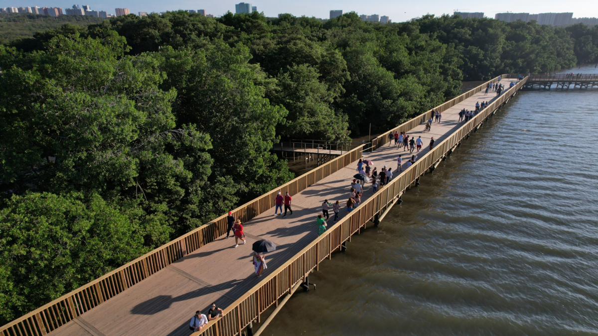 El Foro Económico Mundial (FEM) destaca a Barranquilla como modelo global de transformación ambiental y apuesta por la infraestructura verde

 – Ojo critico