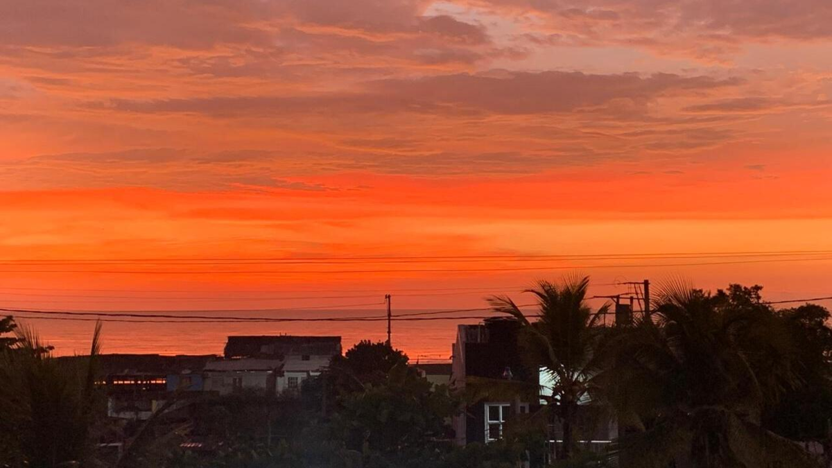 Cartagena-Canadá: vuelos directos desde Toronto y Montreal, se espera que el proyecto supere los 900.000 turistas en la temporada de invierno: el verano caribeño seduce

 – Ojo critico