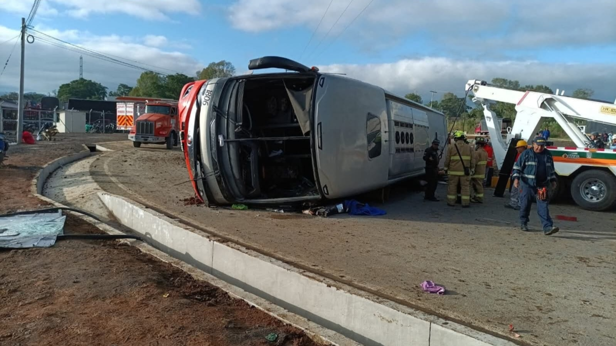 El autobús volcó en la vía principal

 – Ojo critico
