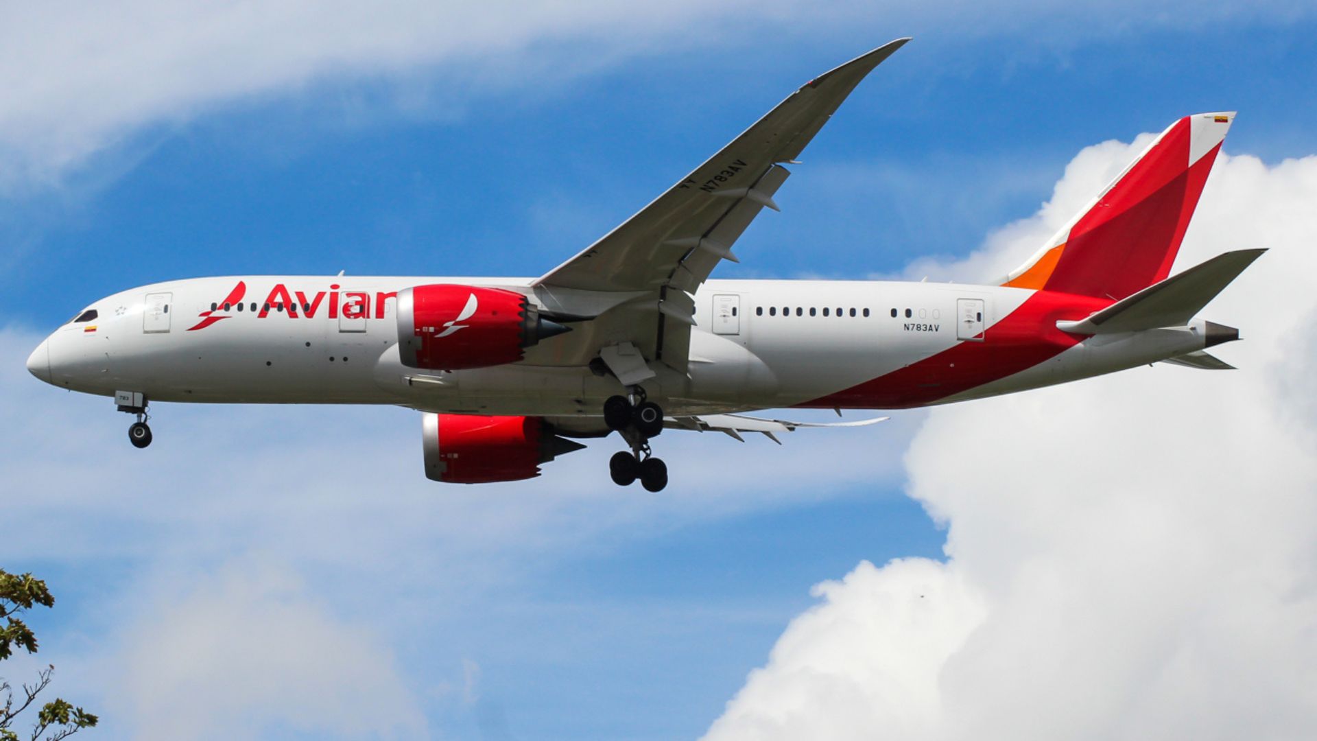 Avianca y otras aerolíneas cancelan vuelos a Venezuela

 – Ojo critico