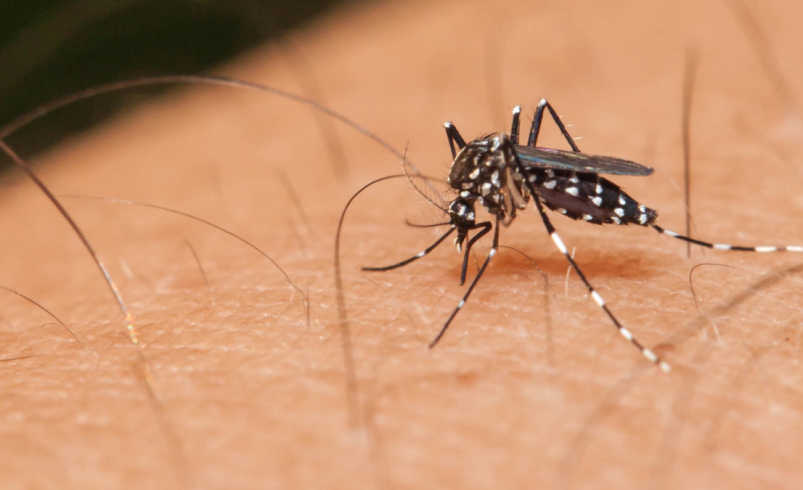 Dicen que en el primer hospital la mandaron a atención domiciliaria y murió

 – Ojo critico