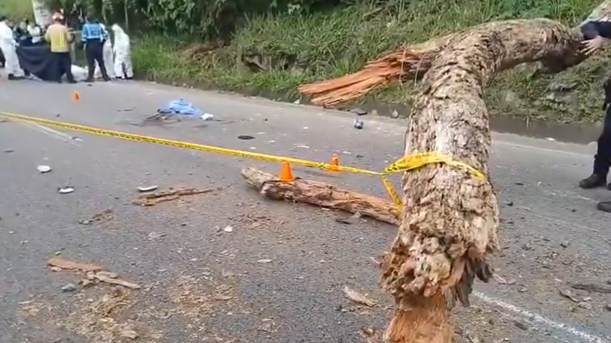 Dos personas murieron al caer un árbol mientras circulaban en motocicleta por la carretera en Piedecuesta

 – Ojo critico