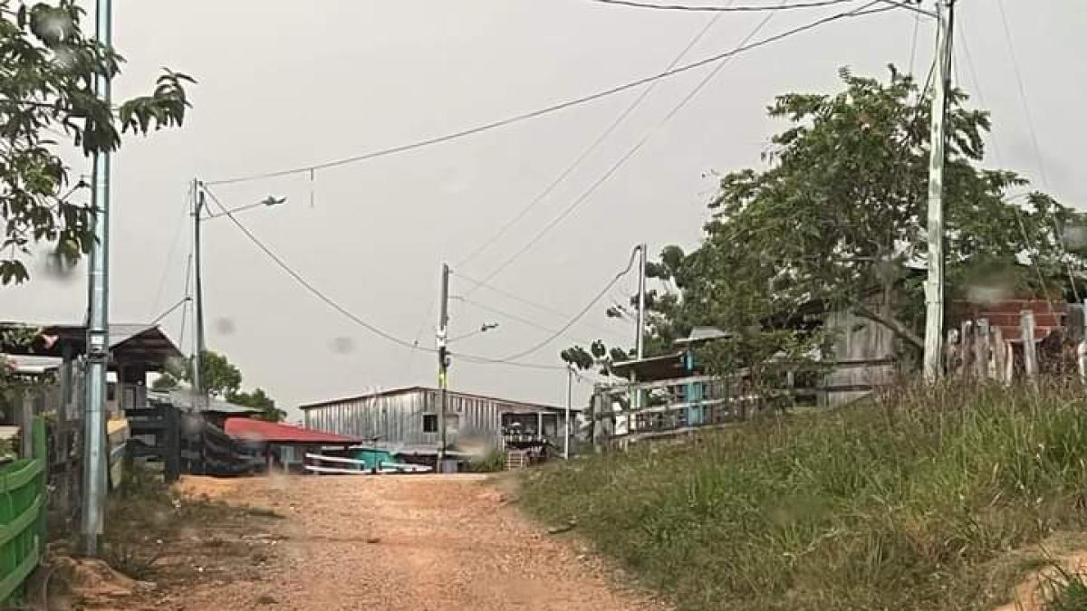 Los enfrentamientos con drones reducen la población

 – Ojo critico