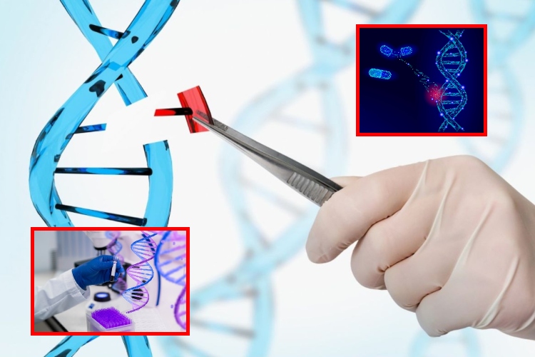Un tratamiento que repara cientos de enfermedades genéticas

 – Ojo critico