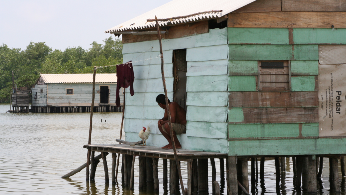 la noche en que la Ciénaga Grande de Santa Marta quedó en silencio

 – Ojo critico
