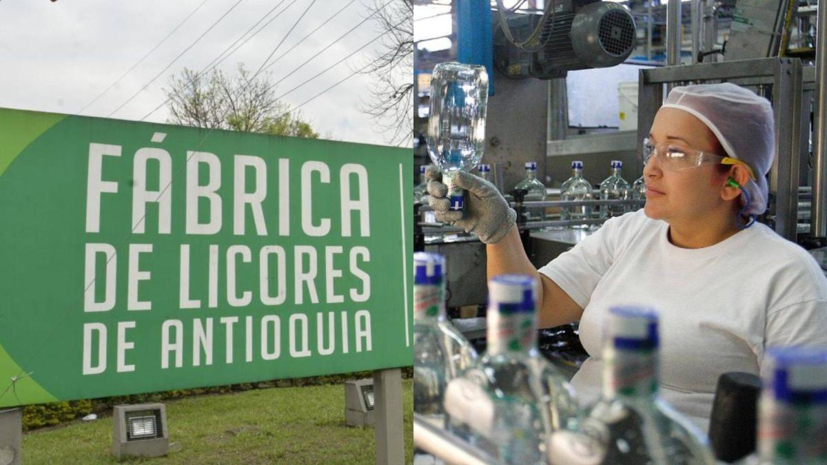 Esto dice la Fábrica de Alcohol de Antioquia

 – Ojo critico