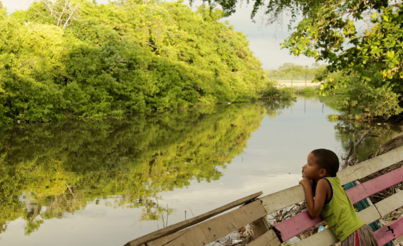 visítalos esta Navidad y Año Nuevo

 – Ojo critico