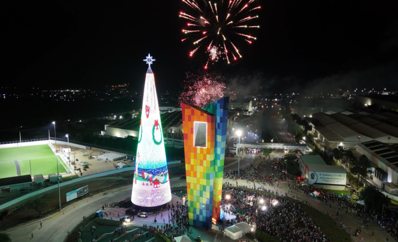 ¿Qué hacer en caso de emergencia y cómo pedir ayuda?

 – Ojo critico