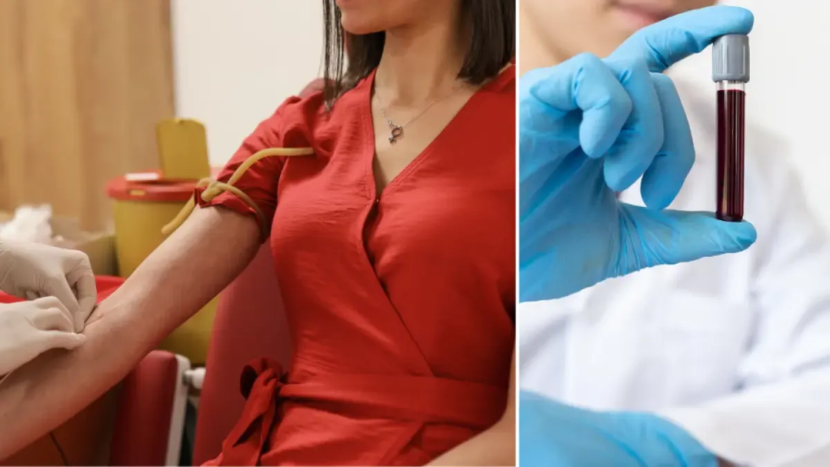 Autoridades sanitarias del Valle del Cauca invitan a donar sangre en esta temporada de fin de año

 – Ojo critico