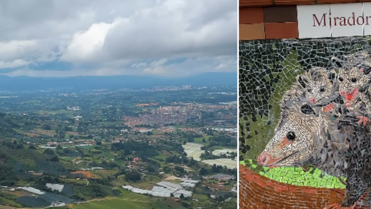 Inauguran en El Carmen de Viboral un nuevo mirador del oriente antioqueño ideal para el ecoturismo

 – Ojo critico