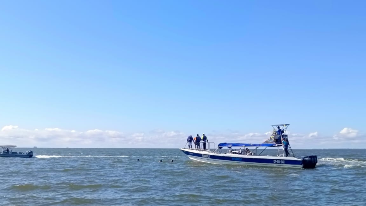 Lo que comenzó como una excursión para estudiantes terminó en tragedia

 – Ojo critico