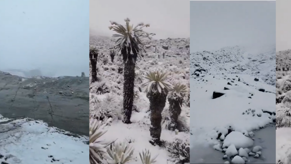Nevado de El Cocuy se cubre de nieve tras más de 12 horas de lluvias y deja paisajes inéditos en varios puntos de la alta montaña

 – Ojo critico