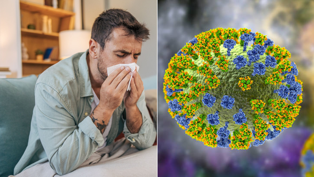 El Valle del Cauca se prepara ante una posible ola del virus de la influenza H3N2

 – Ojo critico