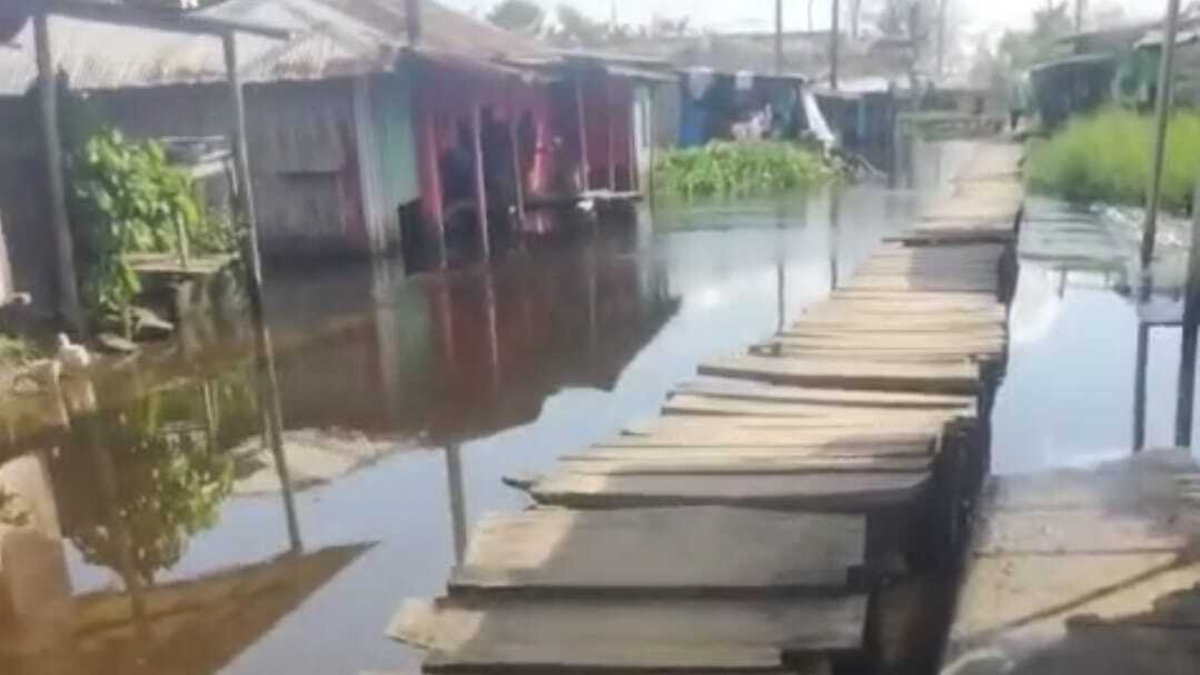 La inversión es nula para evitar inundaciones y los arroceros se declaran en quiebra

 – Ojo critico